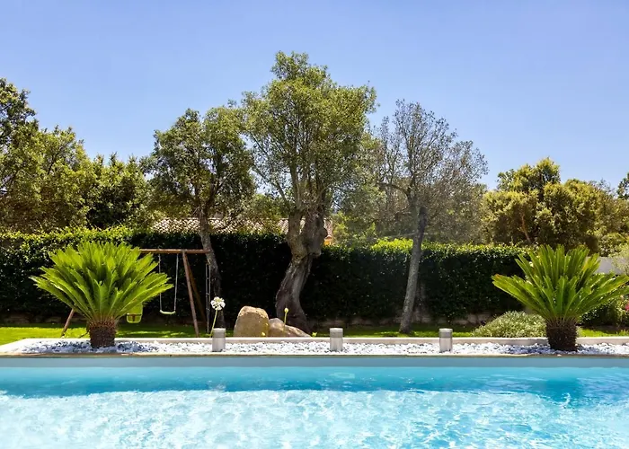 Arca פורטו-וישיו